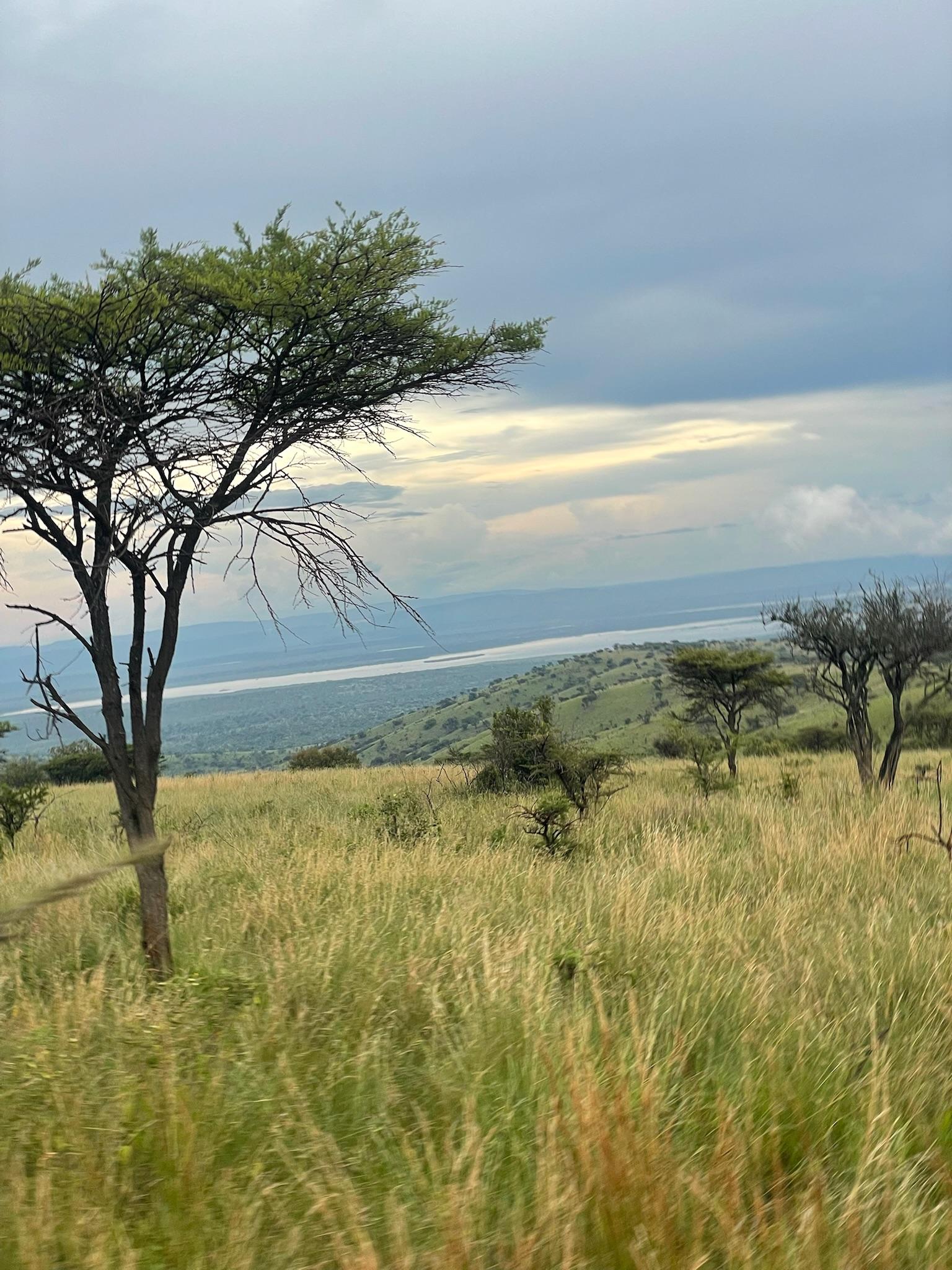 Nyungwe National Park