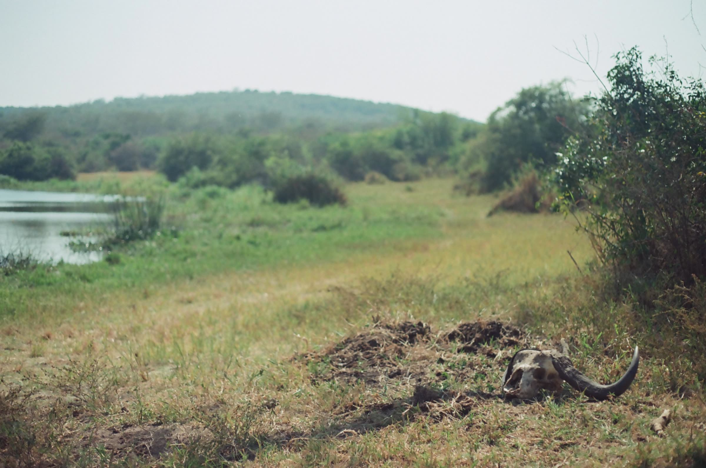 Camp set up overlooking the Mutumba valley