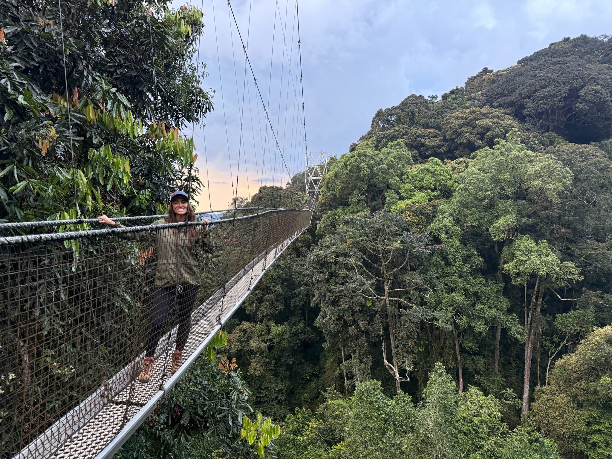 Guest on the Nyungwe canopy walkway