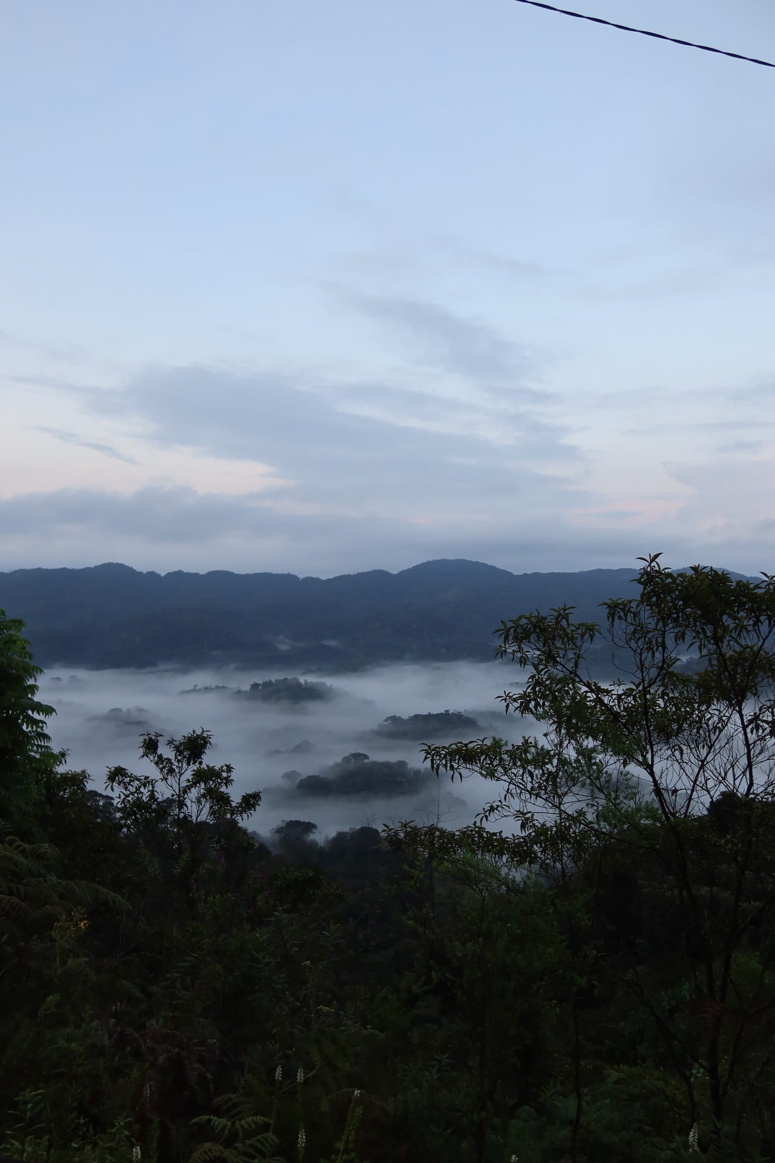 Dawn mist near Nyungwe