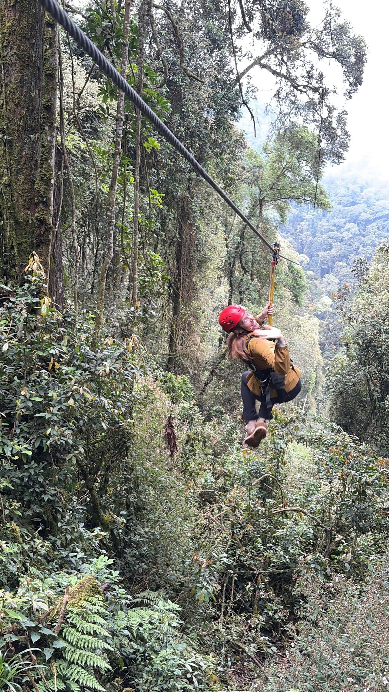 Guest on the zipline above the Nyungwe forest