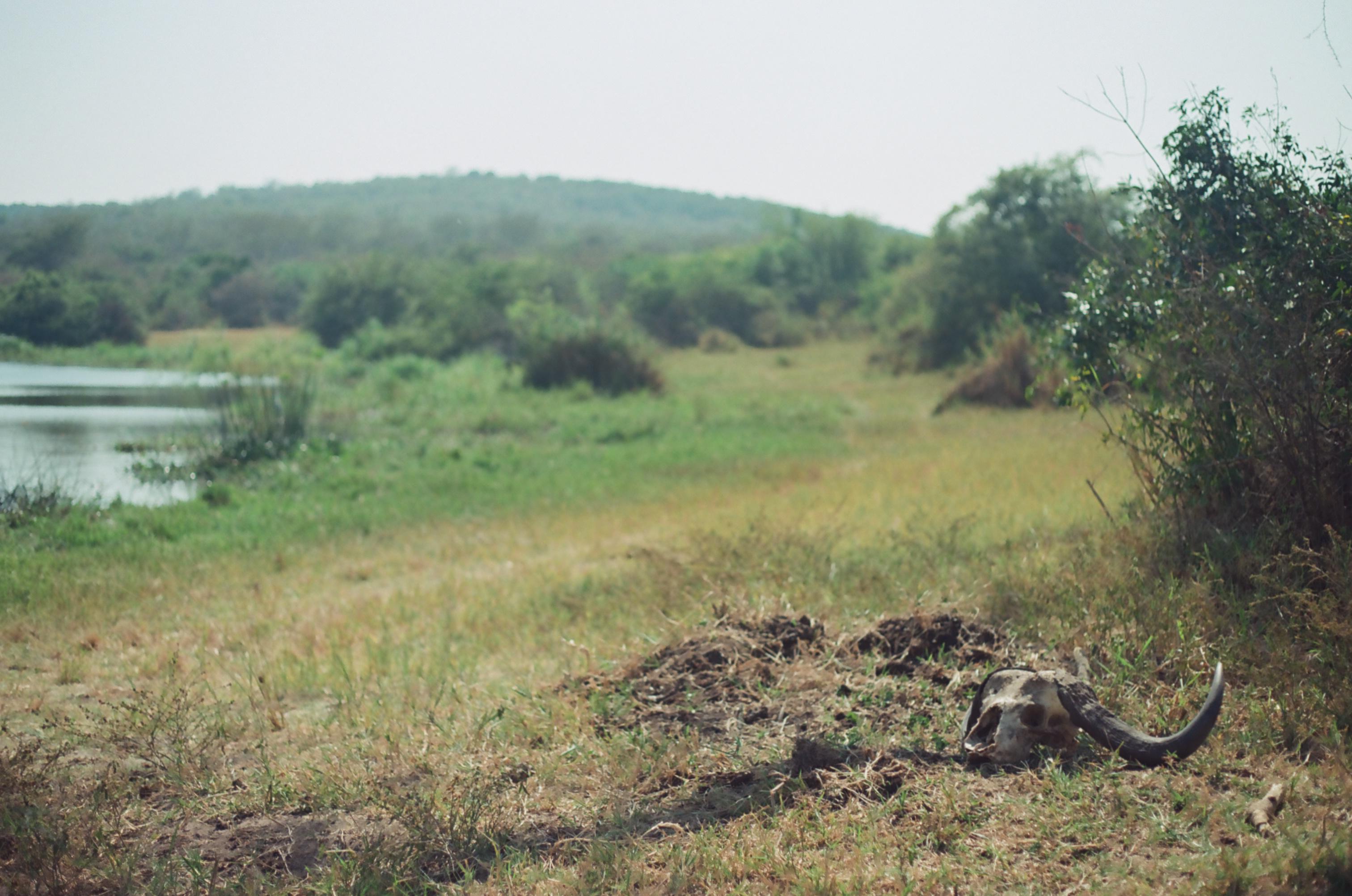 Camp setup overlooking Mutumba valley