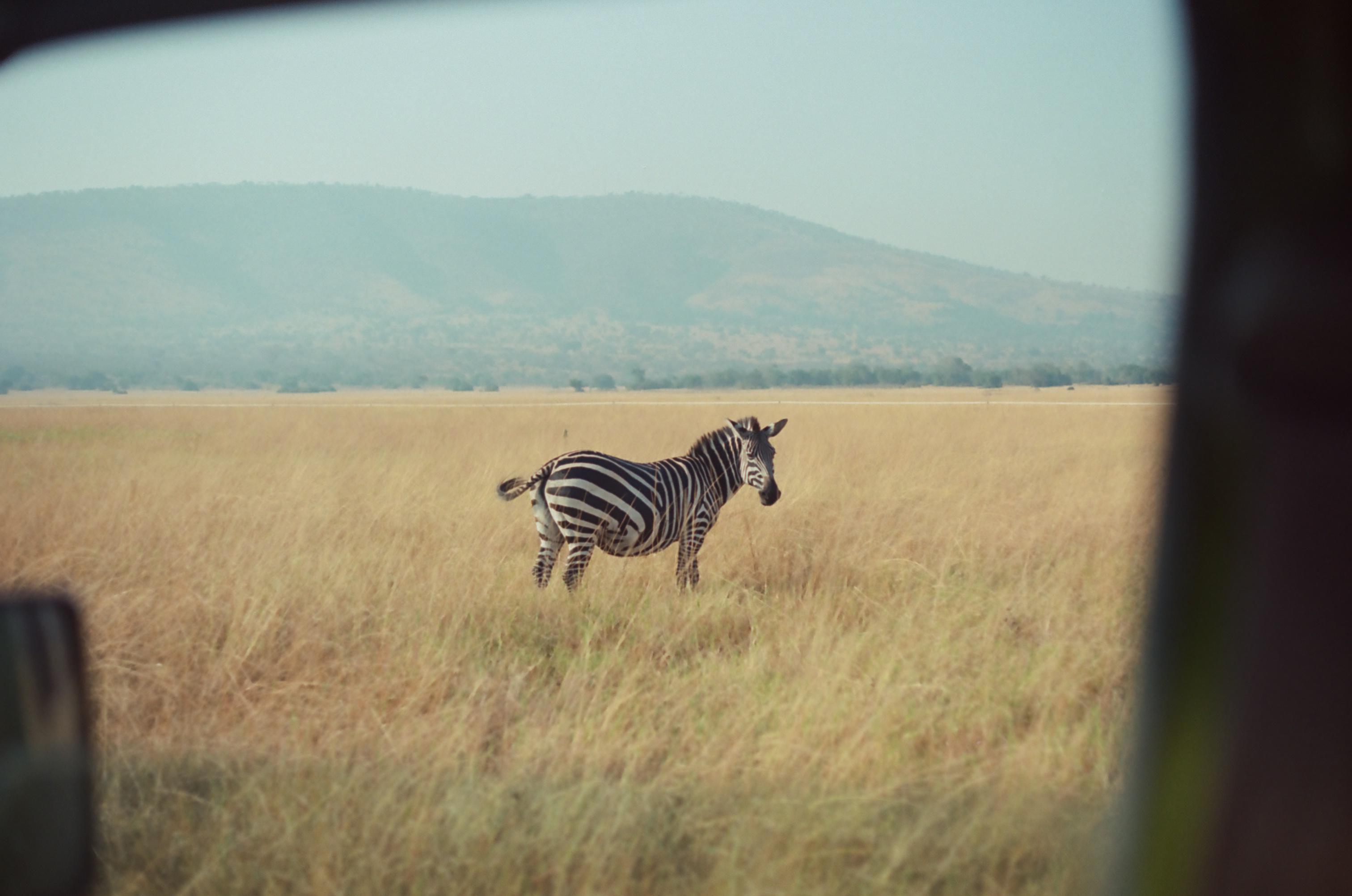 Evening campfire glowing at Mutumba campsite
