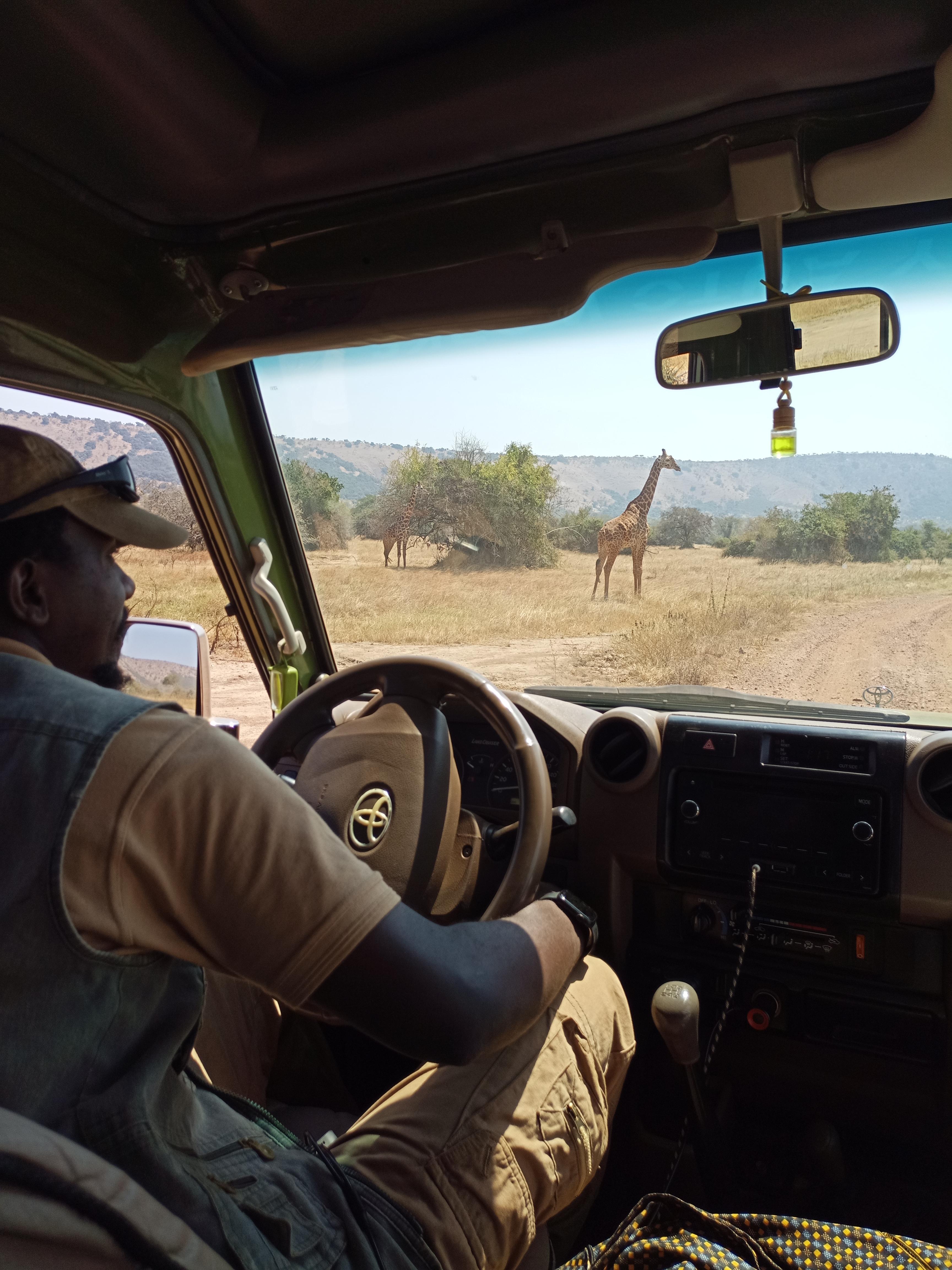 Scenic Campsite View