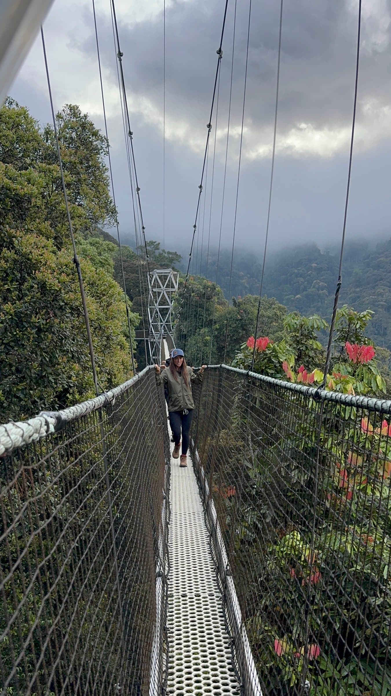 Canopy walkway lined with red flowers