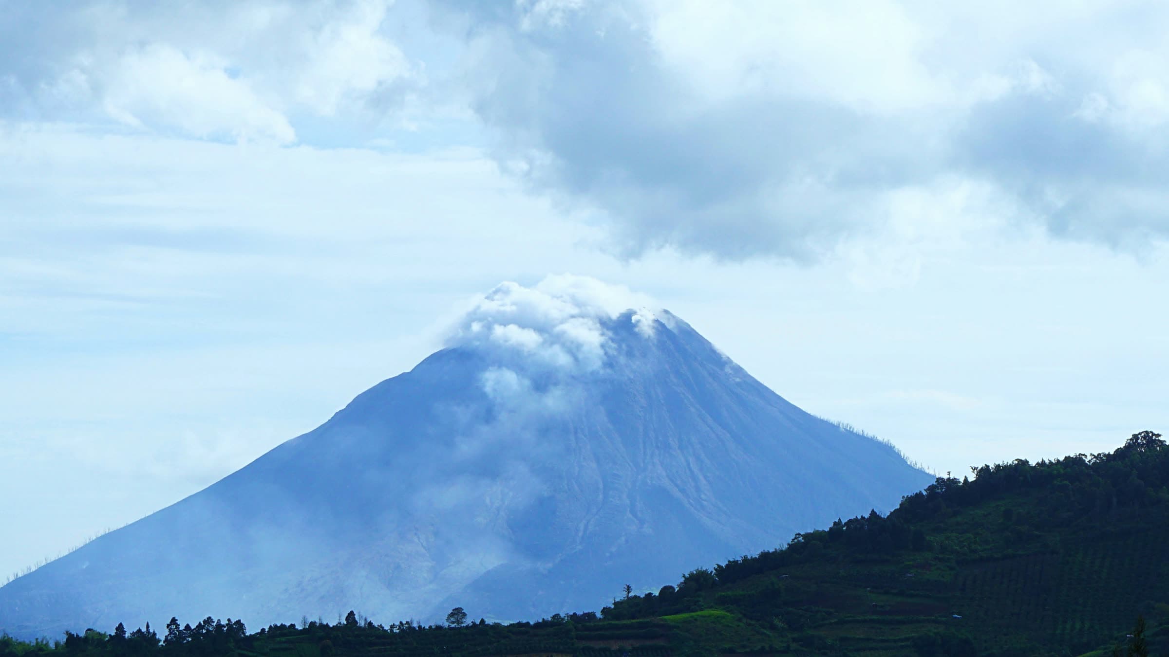 The Virunga volcanoes rising above the forest